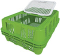 Poltek Crate Space Saver Live Bird Complete Plastic Pet Bowl & Bottle
