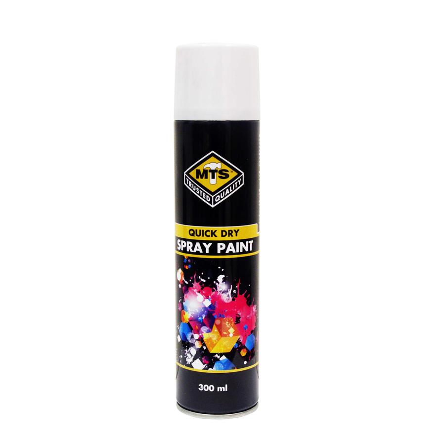 Paint Spray Matt White 300Ml Mts
