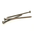 Ifasten 7.5 cm Speciality Nails