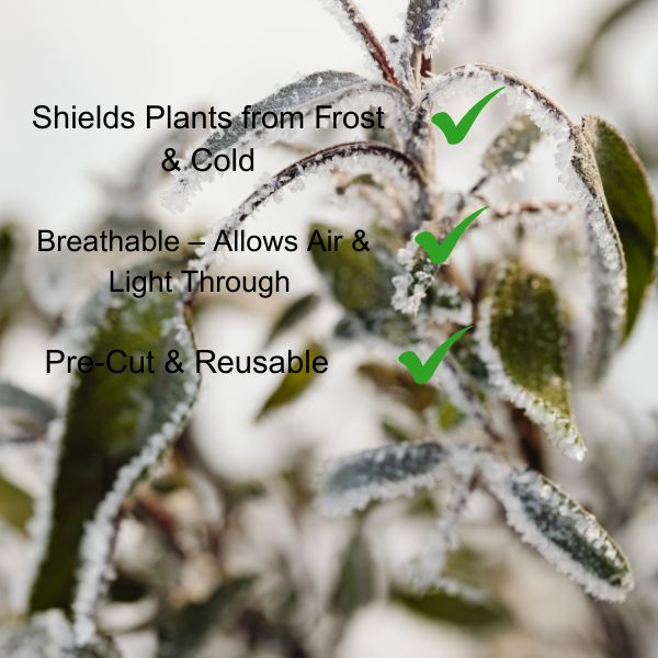 Frost Guard Plant Cover - 1.5m x 3m (2 per Bag)