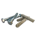 Ifasten Coach Screw M10x75mm & Wall Plug Grey - 5 Pack