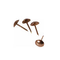 Upholstery Nails - 1000 Piece - Brass Plated - 5/8 Inch