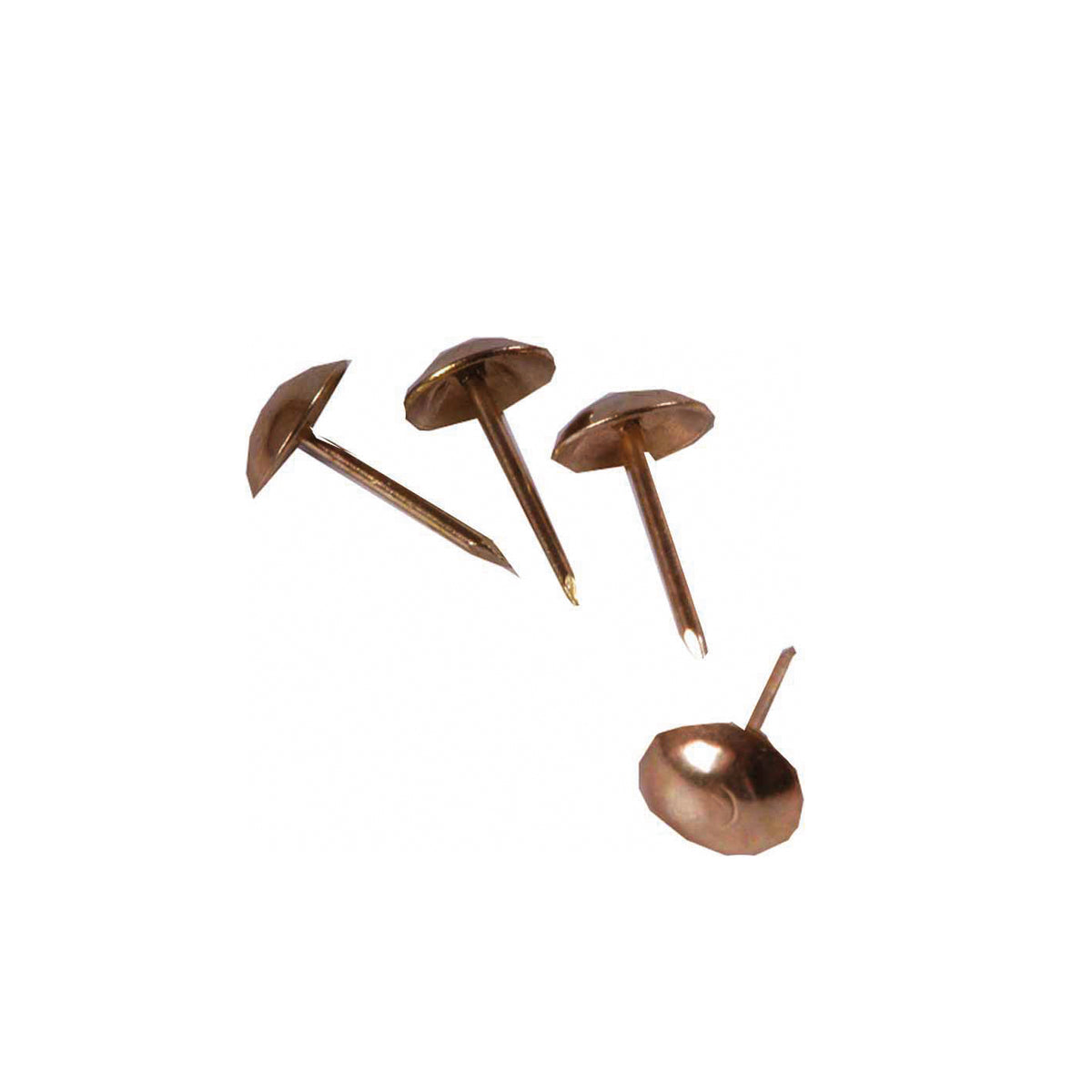 Upholstery Nails - 1000 Piece - Brass Plated - 5/8 Inch