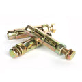 Ifasten Shield Anchor Bolt M10x75mm - 2 Pack