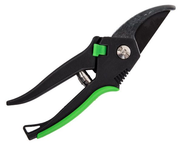 Kaufmann - Secateur - Rose Pruner