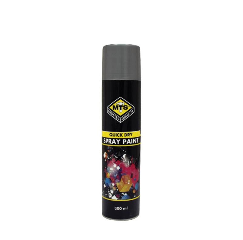 Paint Spray Hr Silver 300Ml Mts