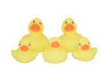 Rubber Vinyl Ducks - Pack of 5