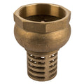 Torrenti - Valve Foot Brass 100mm