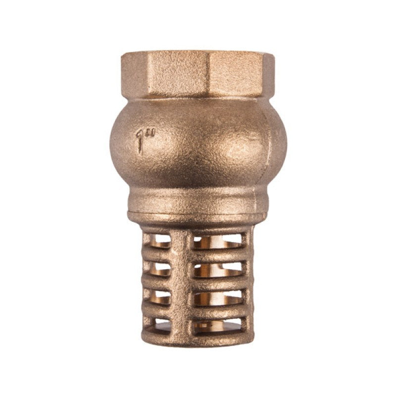 Torrenti Valve Foot Brass 40Mm