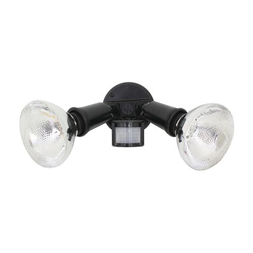 PAR38 2LT Security Light Black