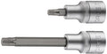 Force NA Socket Set
